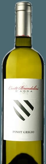 Pinot Grigio