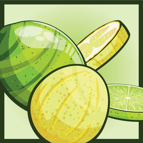Fruit Expo: Guava & Lime Berliner