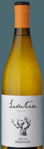 Malvasia