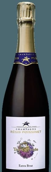 Terre d'Irizée Extra Brut Champagne