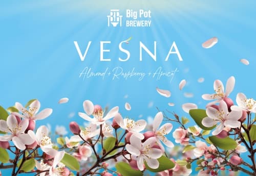 VESNA
