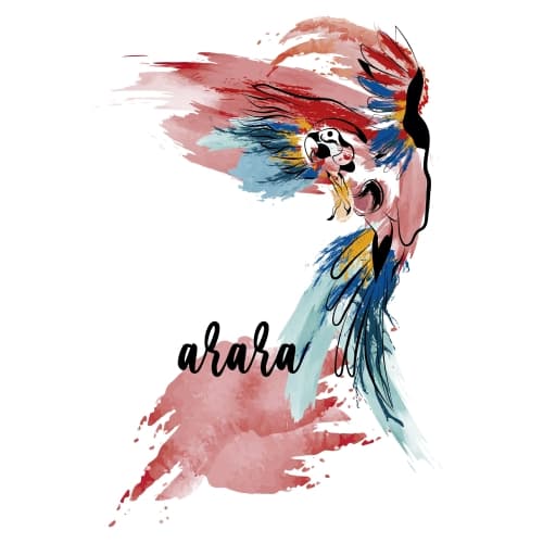 Arara