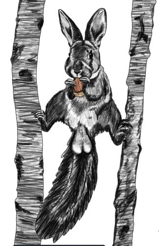Nuts!