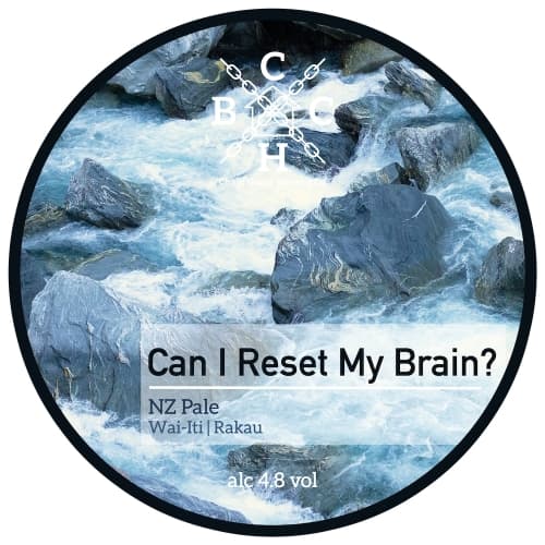 Can I Reset My Brain?