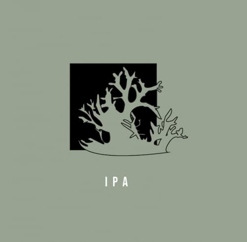 Lichen