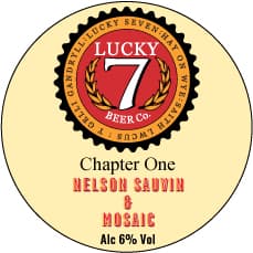 Chapter One - Nelson Sauvin & Mosaic