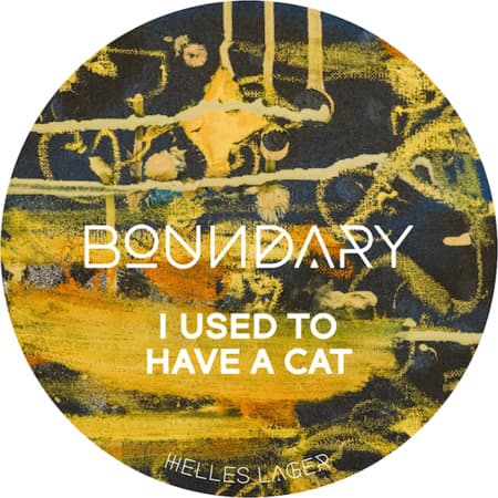 I Used To Have A Cat