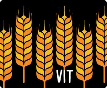 Vit