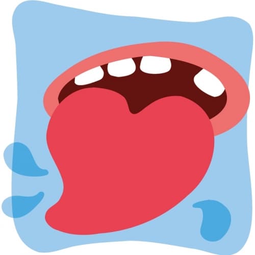 Ti Amo