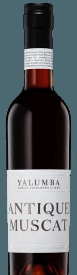 Antique Muscat