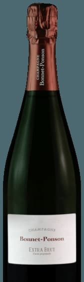 Cuvée Perpétuelle Extra Brut Champagne