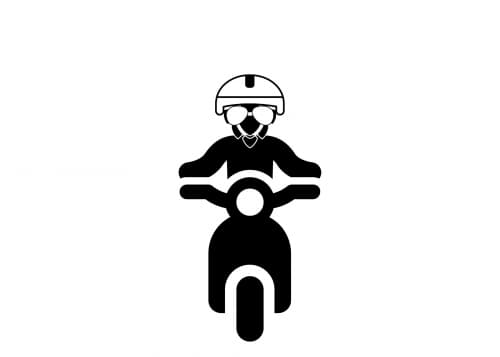 Triumph