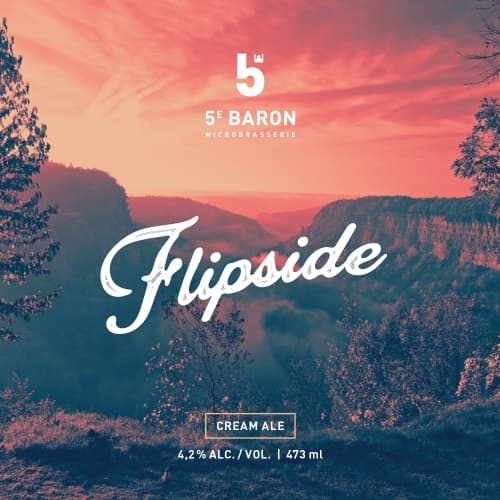 Flipside