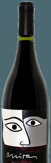 Pinot Noir