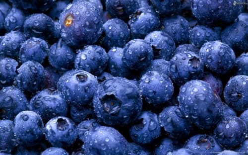 Blueberry Wheat