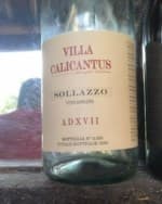 Sollazzo Rosato