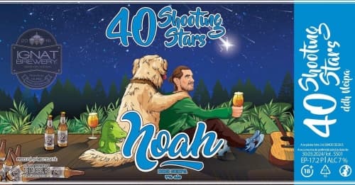 40 Shooting Stars