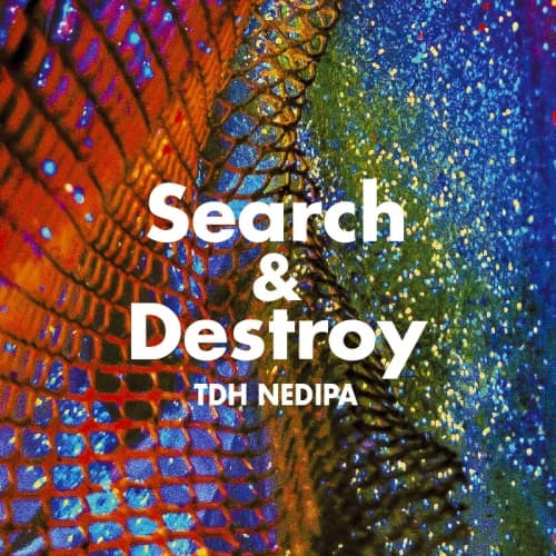 Search & Destroy