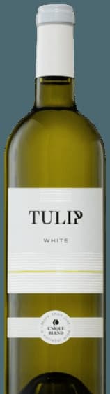 White Tulip