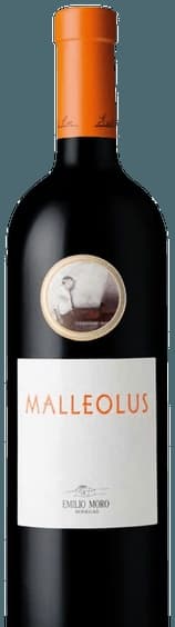 Malleolus
