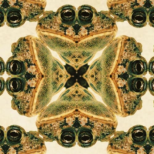Green Trip 2020
