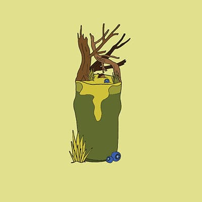 Swamp