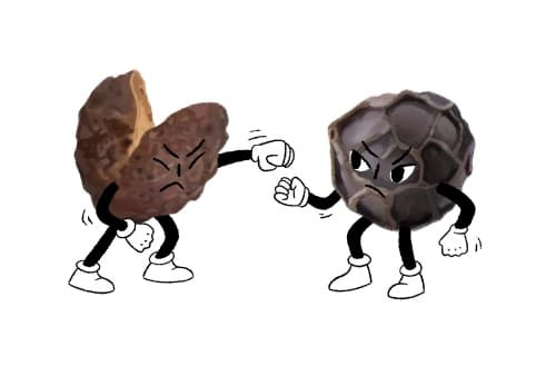 Batak Contre-atak
