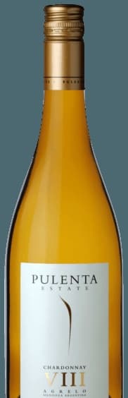 Chardonnay (VIII)
