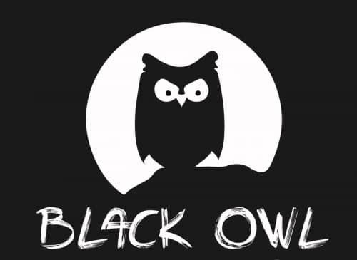 Mauco Black Owl