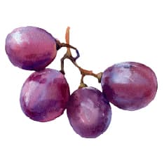 Linnéa