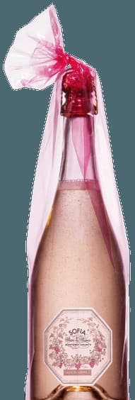 Sofia Blanc de Blancs
