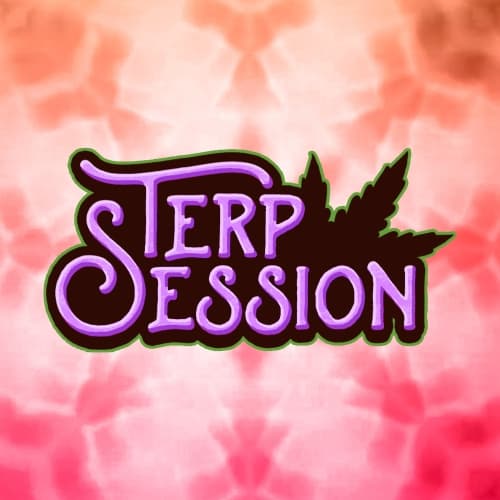 Terp Session #2: Mango Haze