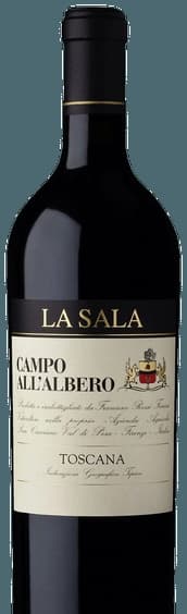 Campo All’Albero
