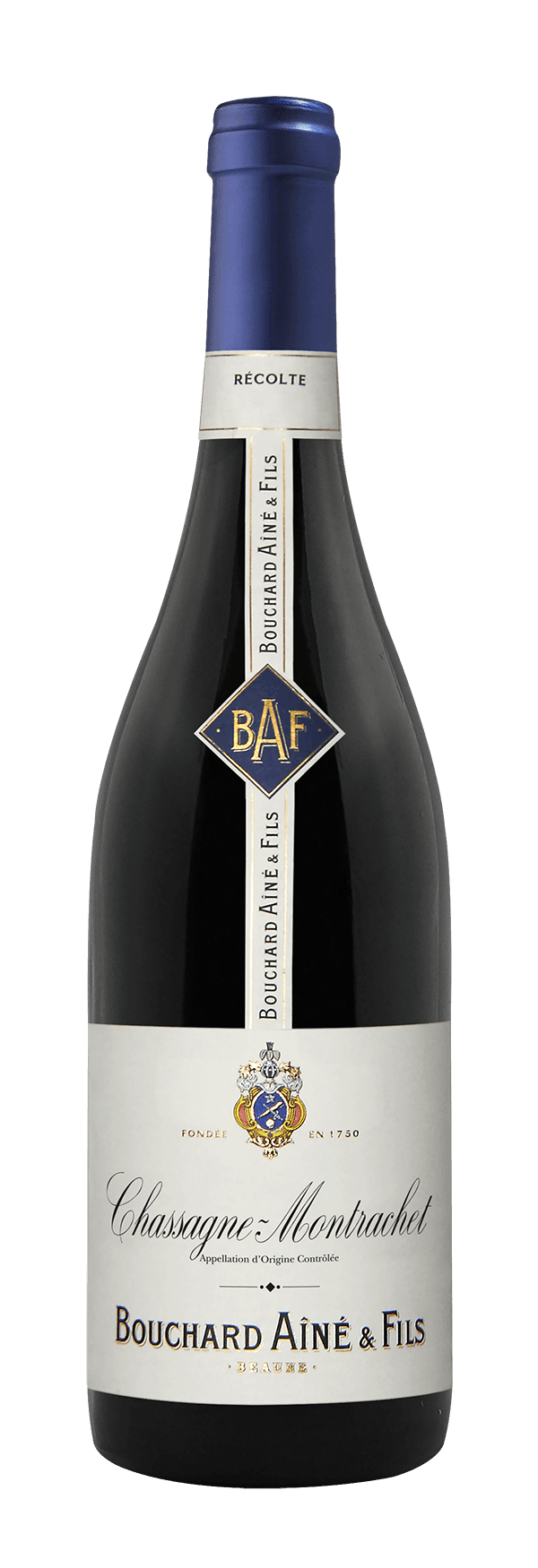 Chassagne-Montrachet 2023