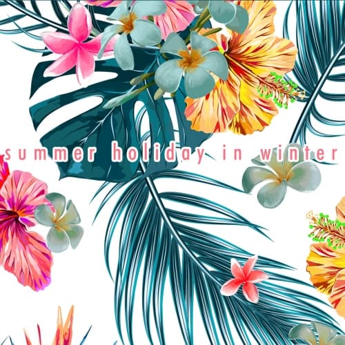 Summer Holiday In Winter