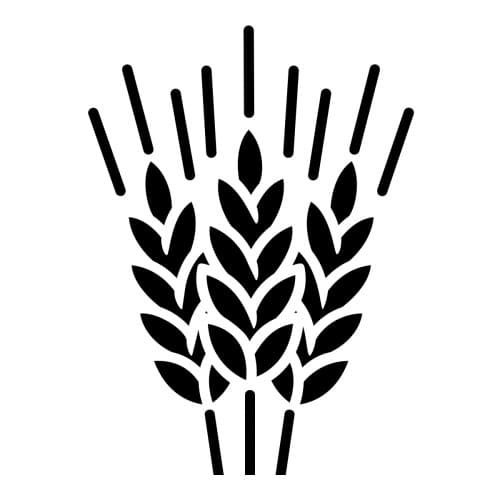 Wheat It Up