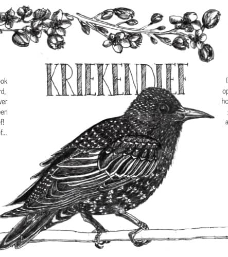 Kriekendief