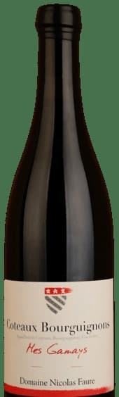 Coteaux Bourguignons Mes Gamays