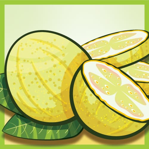 Fruit Expo: White Guava Sour