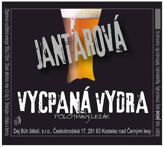 Jantarová vycpaná vydra