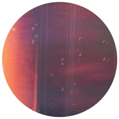 Reckoner