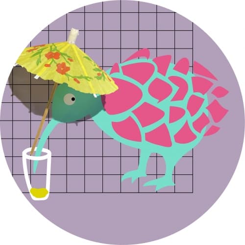 R&D#024:Kiwi Session Ale(奇異 Session Ale)