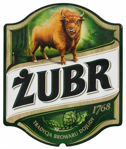 Żubr