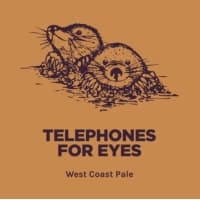 TELEPHONES FOR EYES