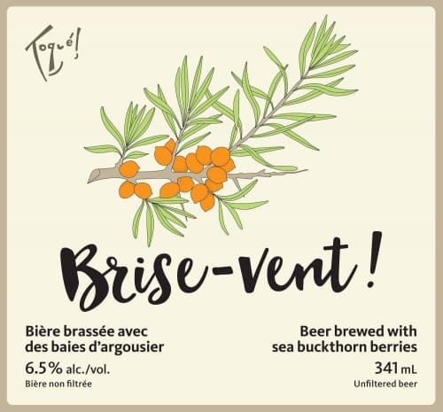 Brise-Vent