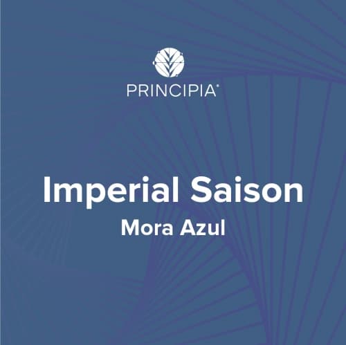 Blueberry Imperial Saison