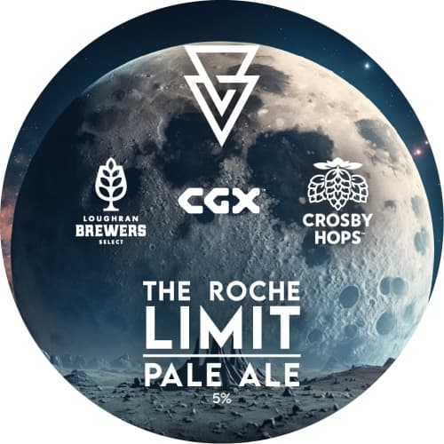 The Roche Limit