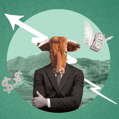 Bull Market