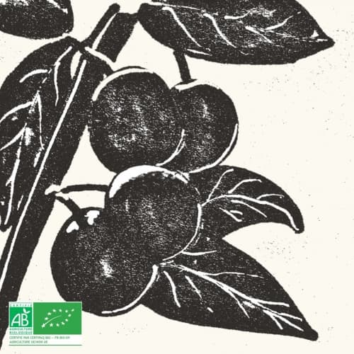 akapella: Mirabelles (Bio)