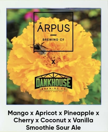 Ārpus X DankHouse Mango X Apricot X Pineapple X Cherry X Coconut X Vanilla Smoothie Sour Ale